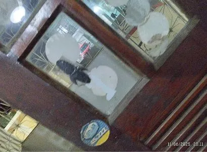 Filho acusa vereador de Gravatá de ter destruído a casa de sua mãe, usada como comitê eleitoral. A proprietária, de 83 anos, enfrenta sérios prejuízos financeiros e emocionais